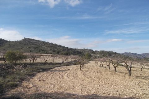 Helårsgrund i Yecla, Murcia, Yecla - € 55.000 | Ref: SF0035 - foto 6
